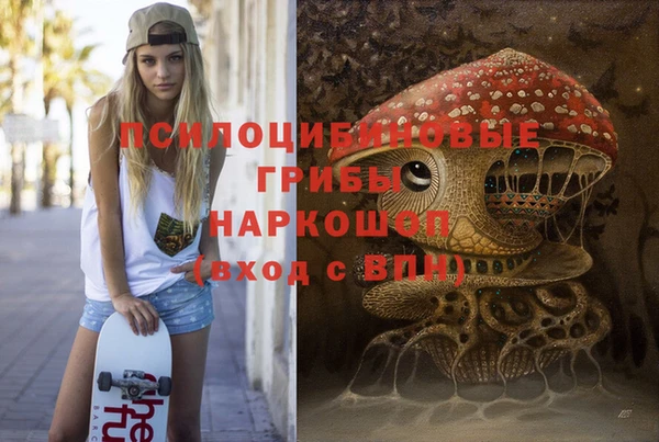 амф Белокуриха
